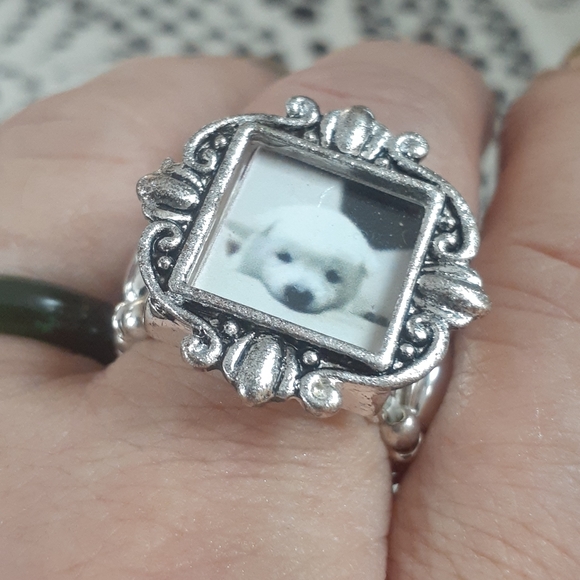 Dog photo stretch ring - Picture 6 of 6